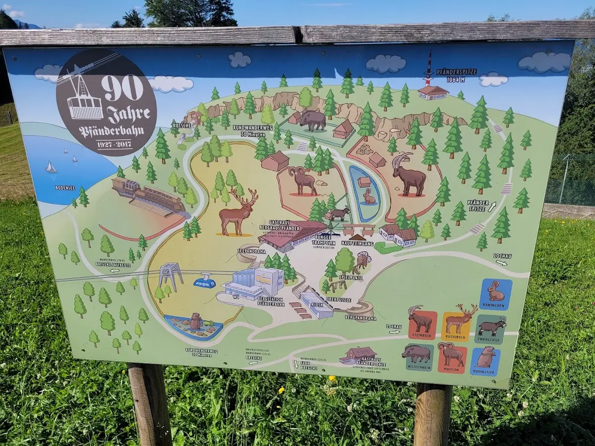 Alpenwildpark Pfänder — Bild 1