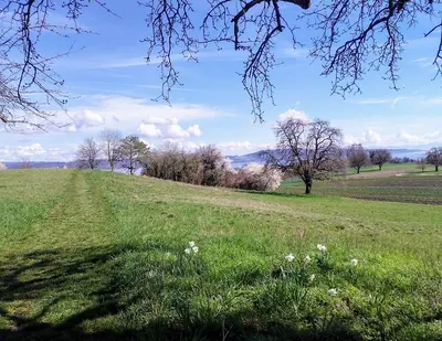 Bodanrück Rundwanderung