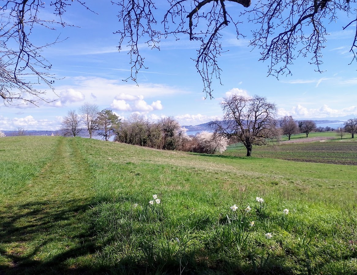 Bodanrück Rundwanderung — Bild 1