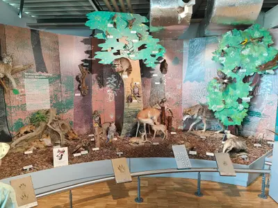 Bodensee-Naturmuseum Konstanz