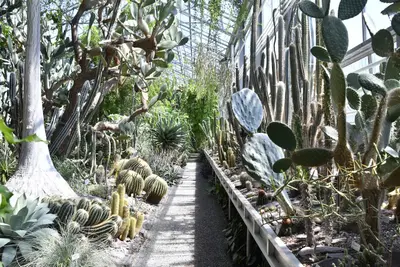 Botanischer Garten St. Gallen