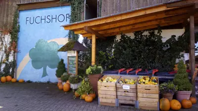 Fuchshof Konstanz-Dingelsdorf