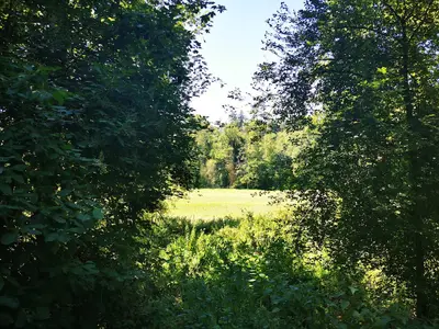 Grillhütte Deisendorf