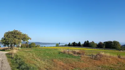 Grillplatz Litzelstetten Purren