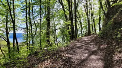 Kinder-Erlebnispfad Sipplingen