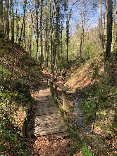 Klingenbachschlucht Öhningen