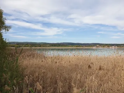 Life-Pfad Radolfzell