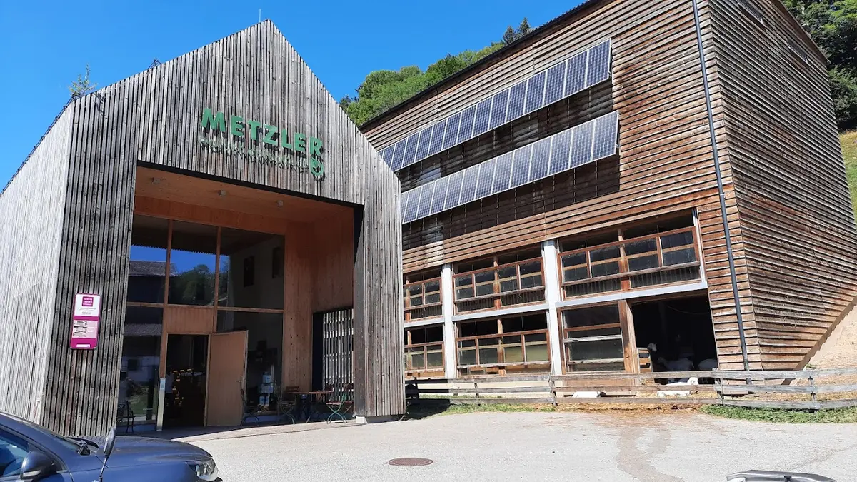 Metzler Kaese-Molke Egg — Bild 1