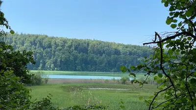 Mindelsee Naturschutzgebiet