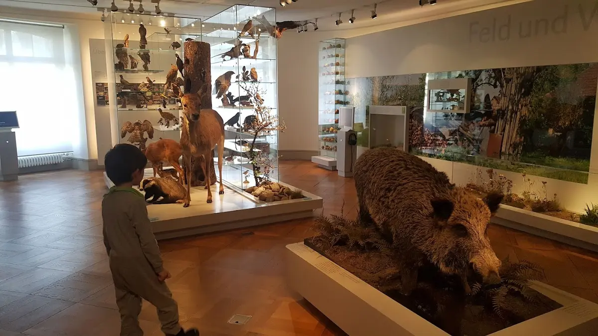 Naturmuseum Thurgau Frauenfeld — Bild 1