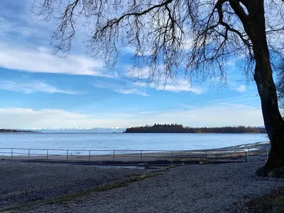 Naturschutzgebiet Bodenseeufer Dingelsdorf