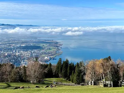 Pfänder & Bregenzer Wald