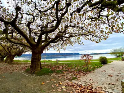 Radolfzeller Bodenseeufer-Promenade