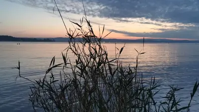 Schwimmbad Hörnli Kreuzlingen