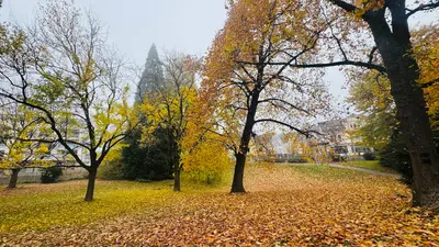 Uferpark Friedrichshafen