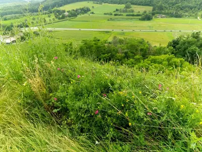 Vulkanpfad Hohentwiel