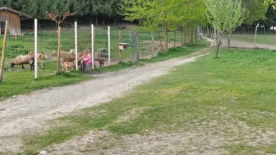 Wildpark Sonnenhalde